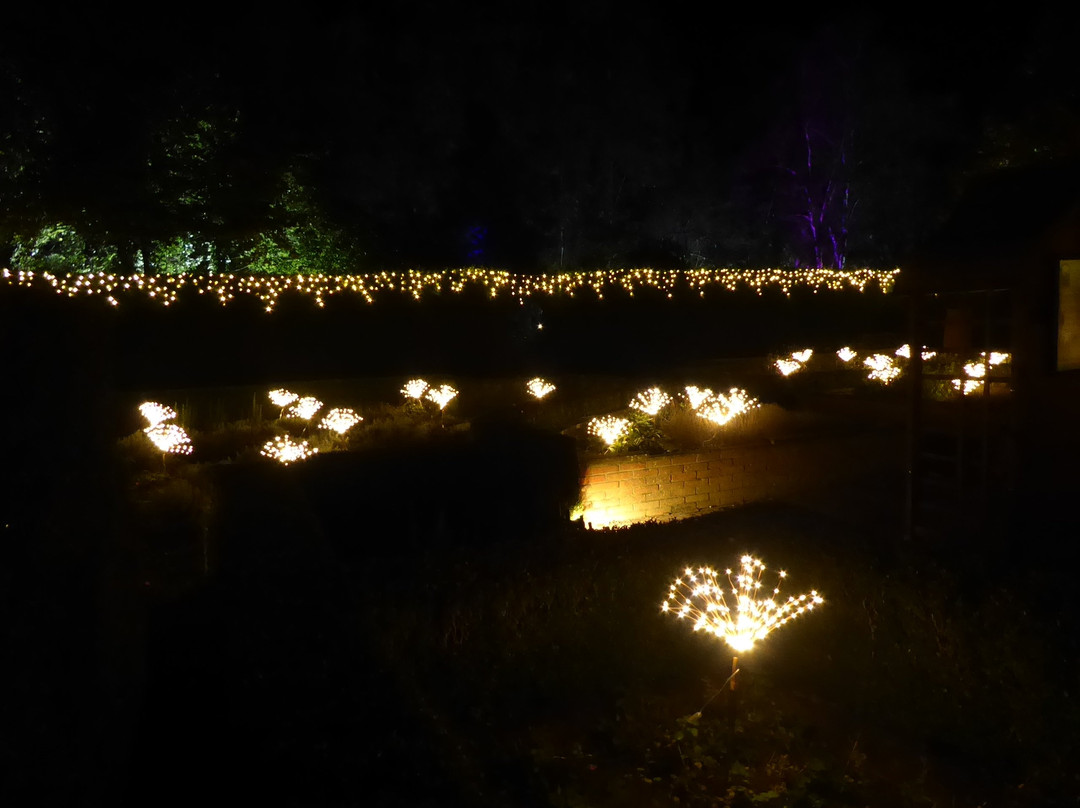 Rufford Abbey景点图片