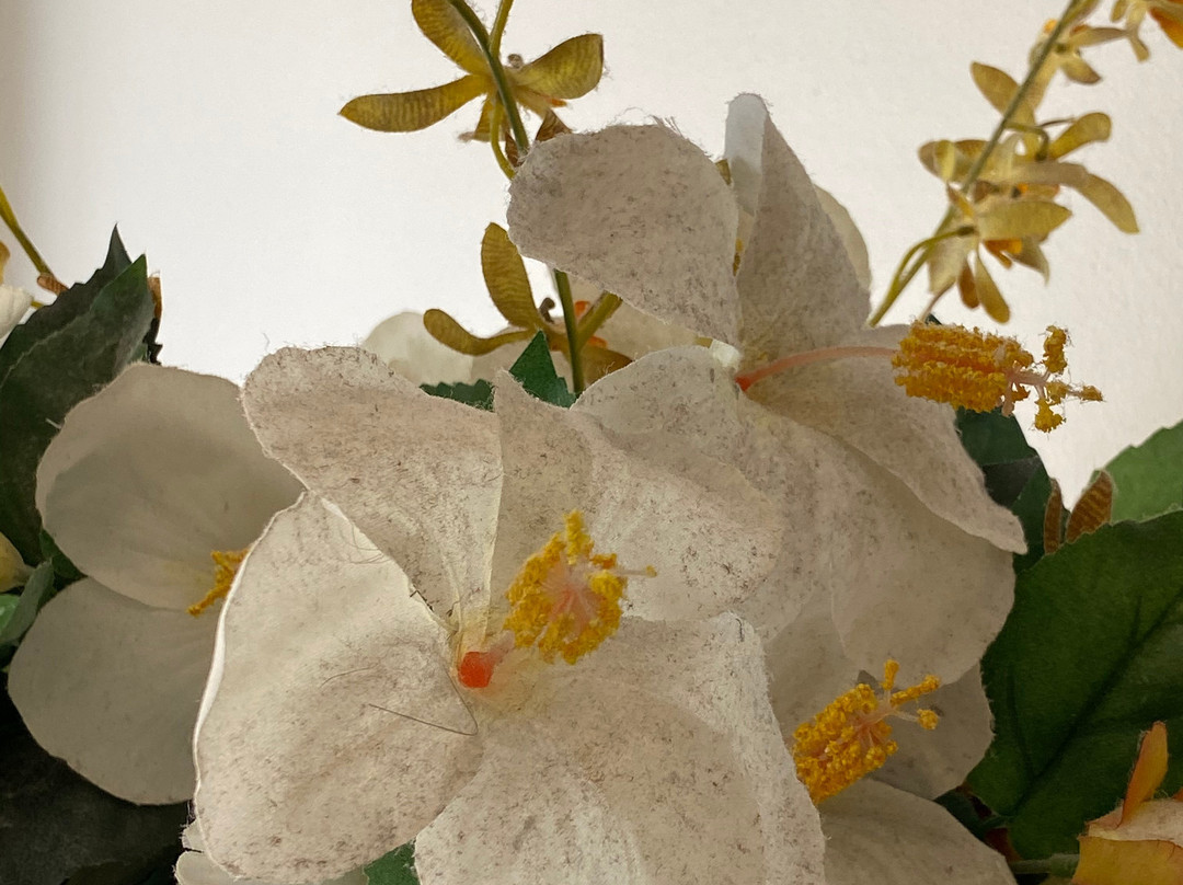 圣托里尼海滨酒店主图