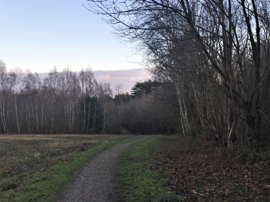 Footland Wood景点图片