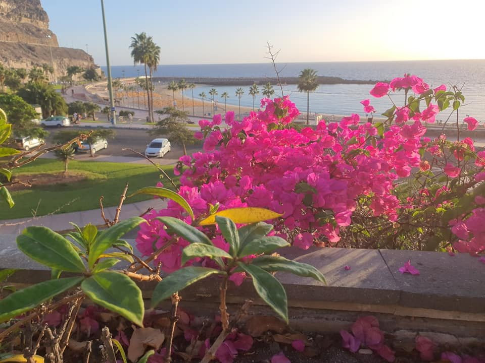 Holiday Club Playa Amadores主图