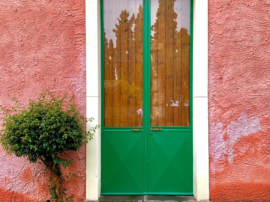 Agriturismo Codavolpe主图