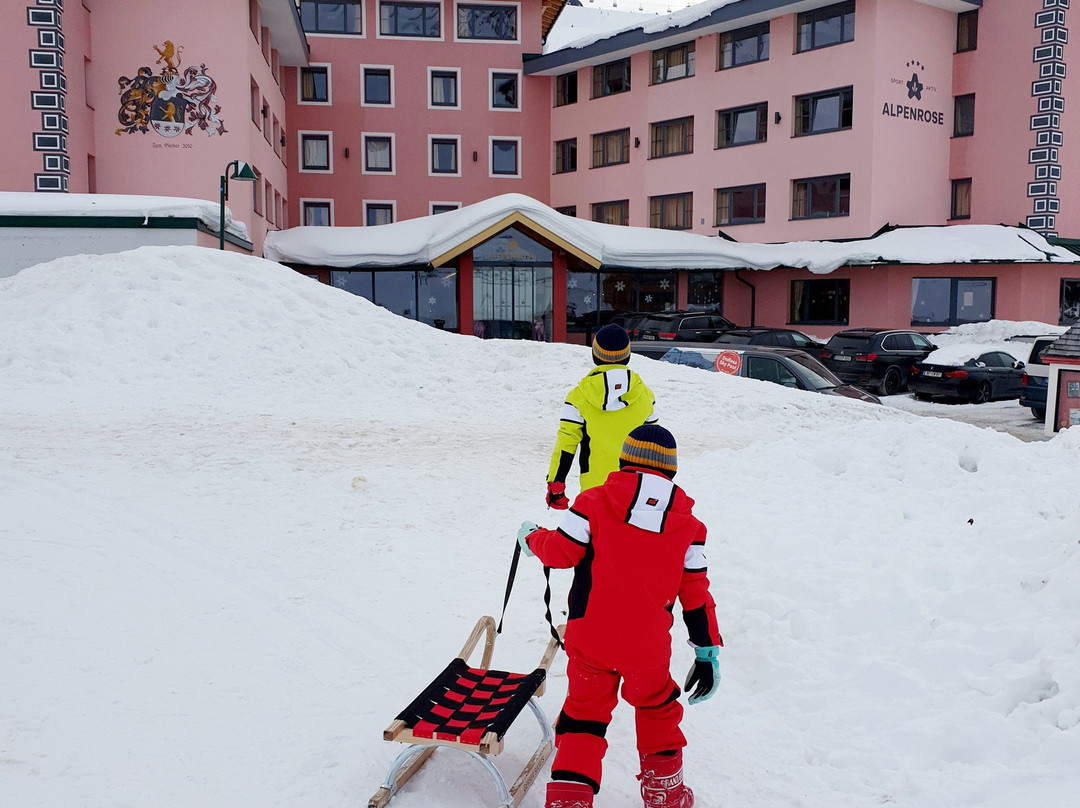 Hotel Alpenrose主图