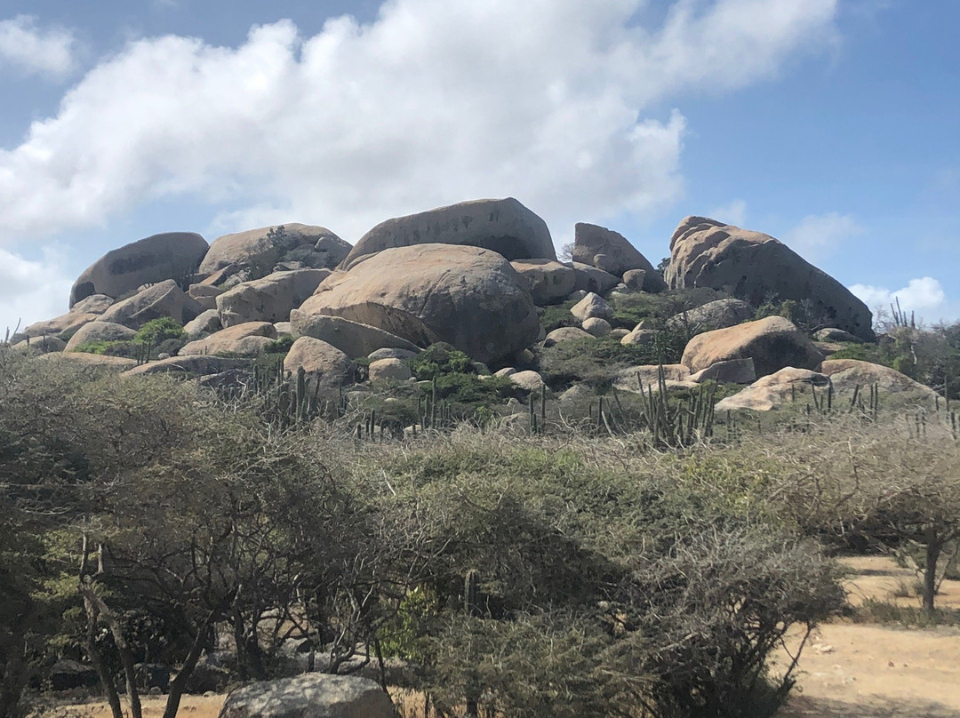 Private Island Tours Aruba-奥腊涅斯塔德必去景点