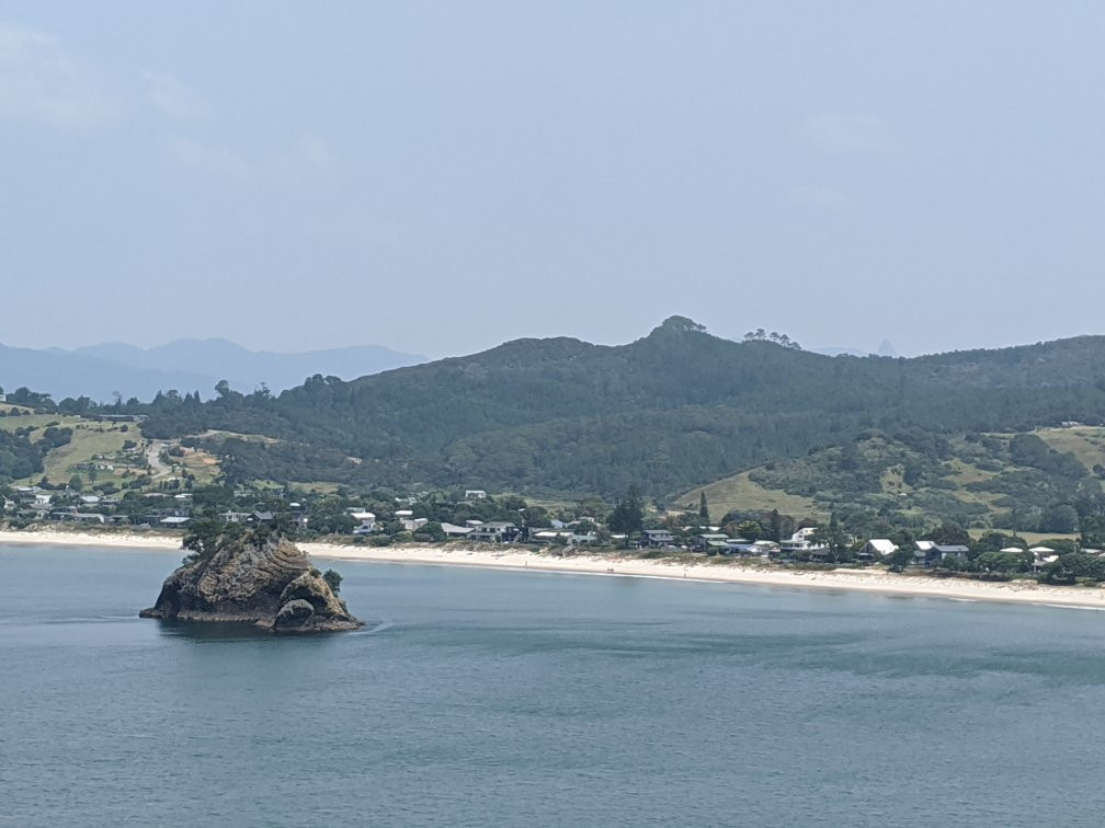 Whangapoua Beach景点图片