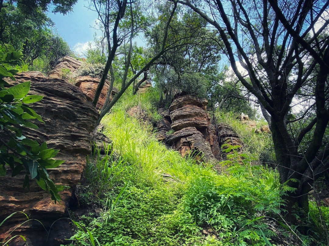 The Wilds Nature Reserve景点图片