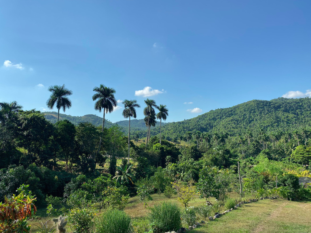 Finca Excelencia-Soroa必去景点