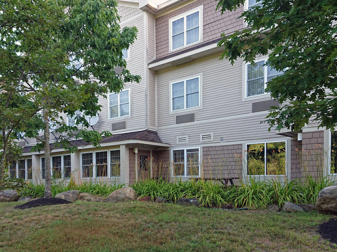 蒂尔顿快捷假日&套房酒店主图