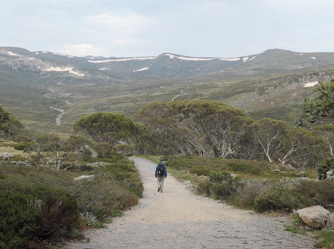 Summit Walk/Main Range Trail景点图片