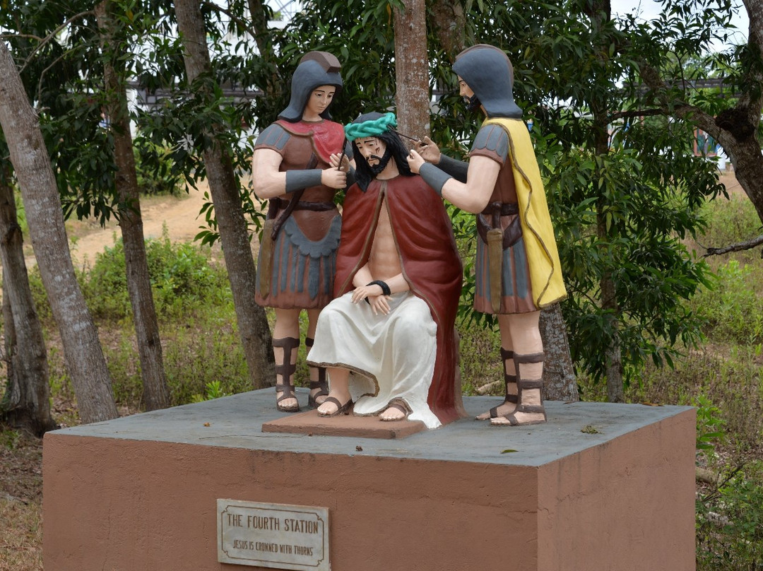 Holy Family Hills景点图片