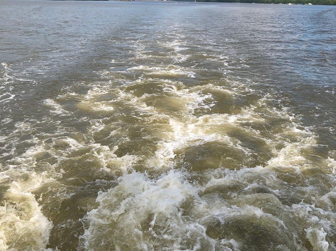 Brunei River Cruise景点图片