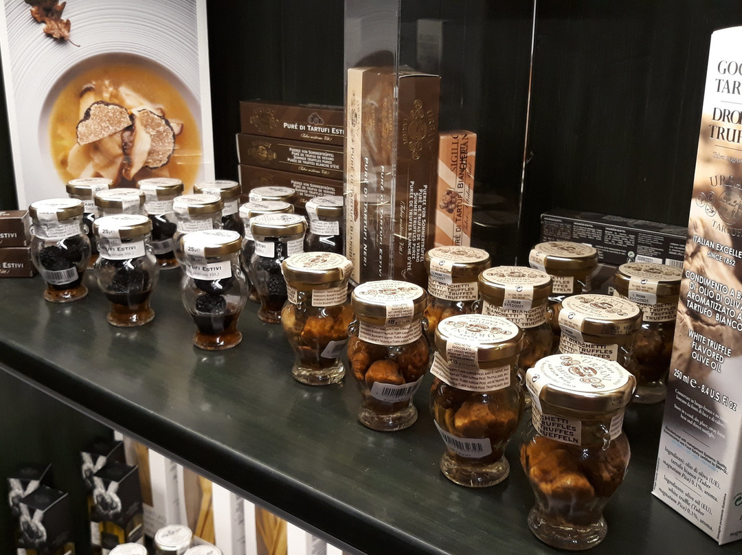 Museo del Tartufo Urbani景点图片