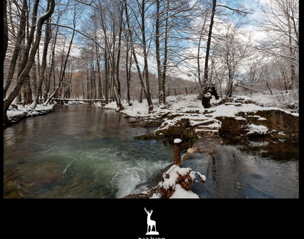 Palivor Ciftligi主图