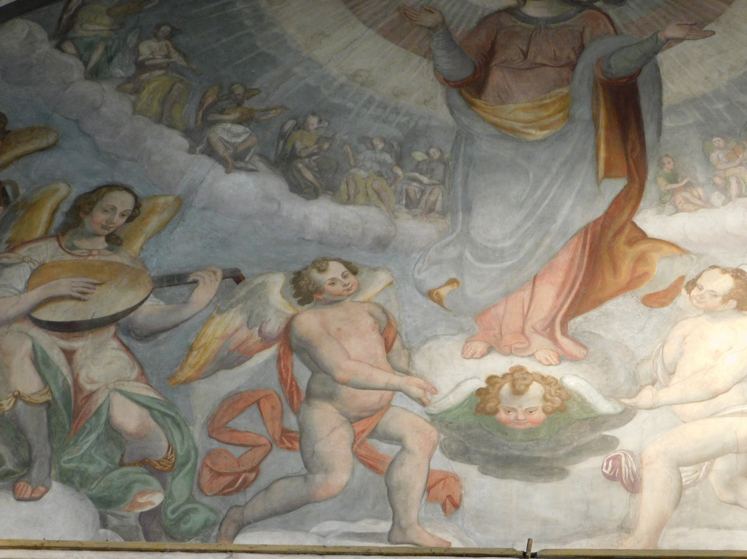 Chiesa della Purificazione o Chiesa Nuova景点图片