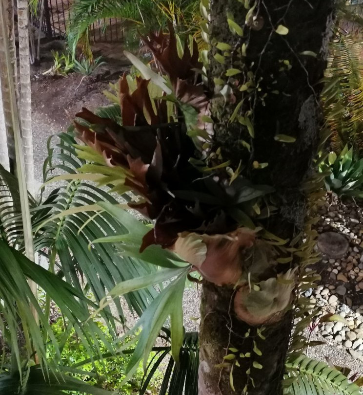 棕榈湾酒店主图