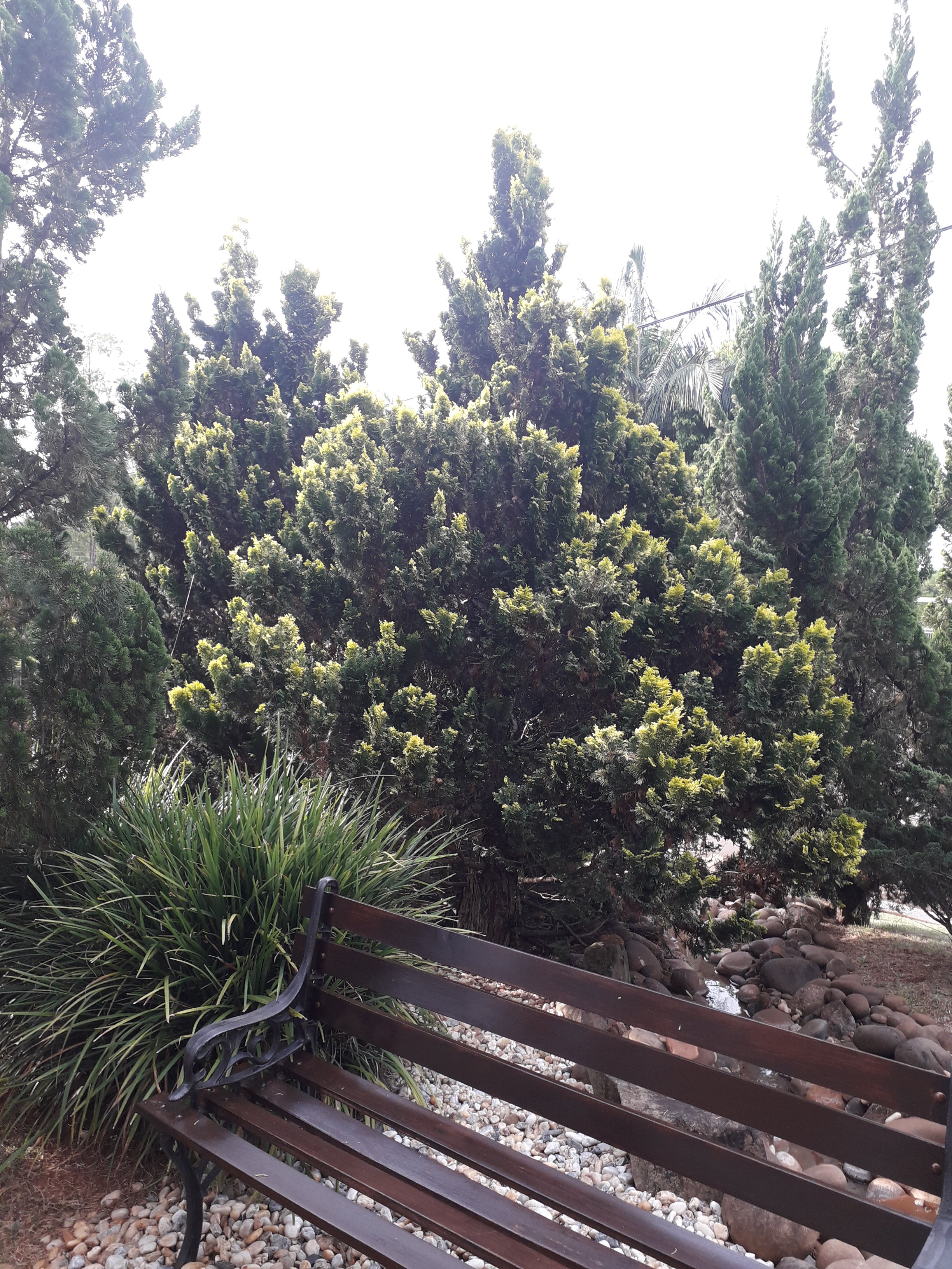 Baviera Park Hotel-家庭/游戏区