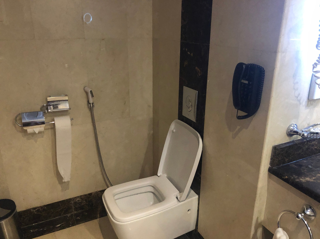 太巴千禧酒店主图