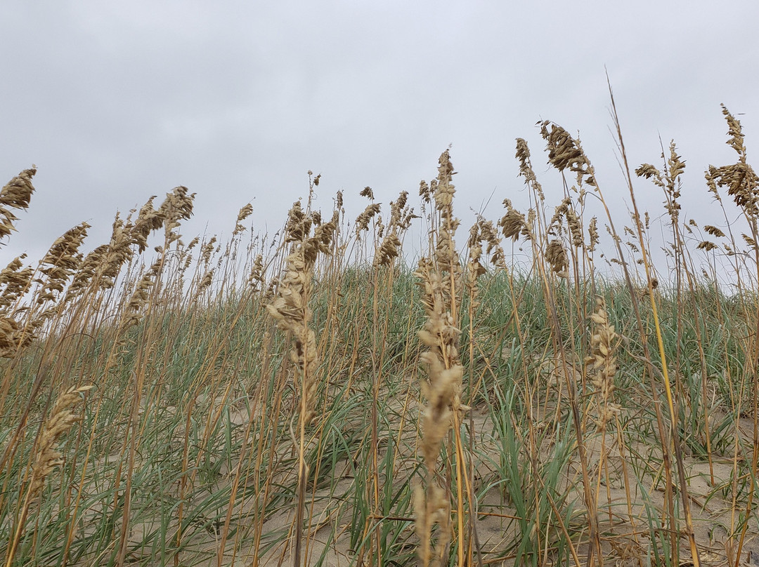 Back Bay National Wildlife Refuge景点图片