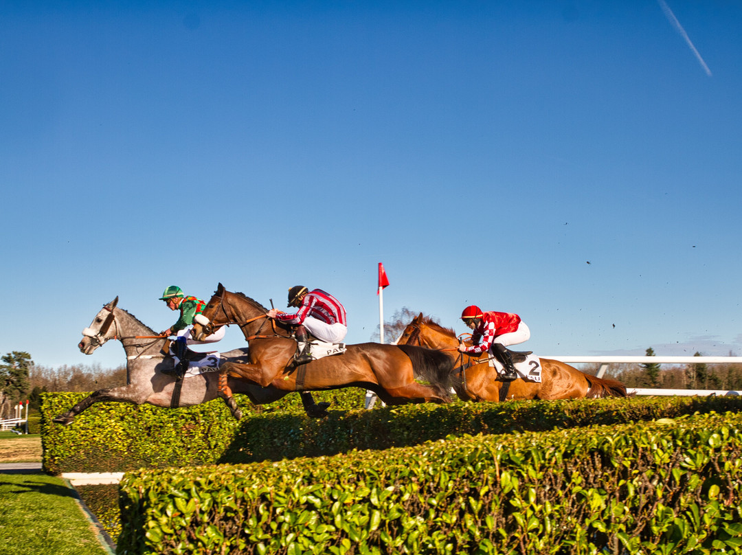 Hippodrome de Pau景点图片