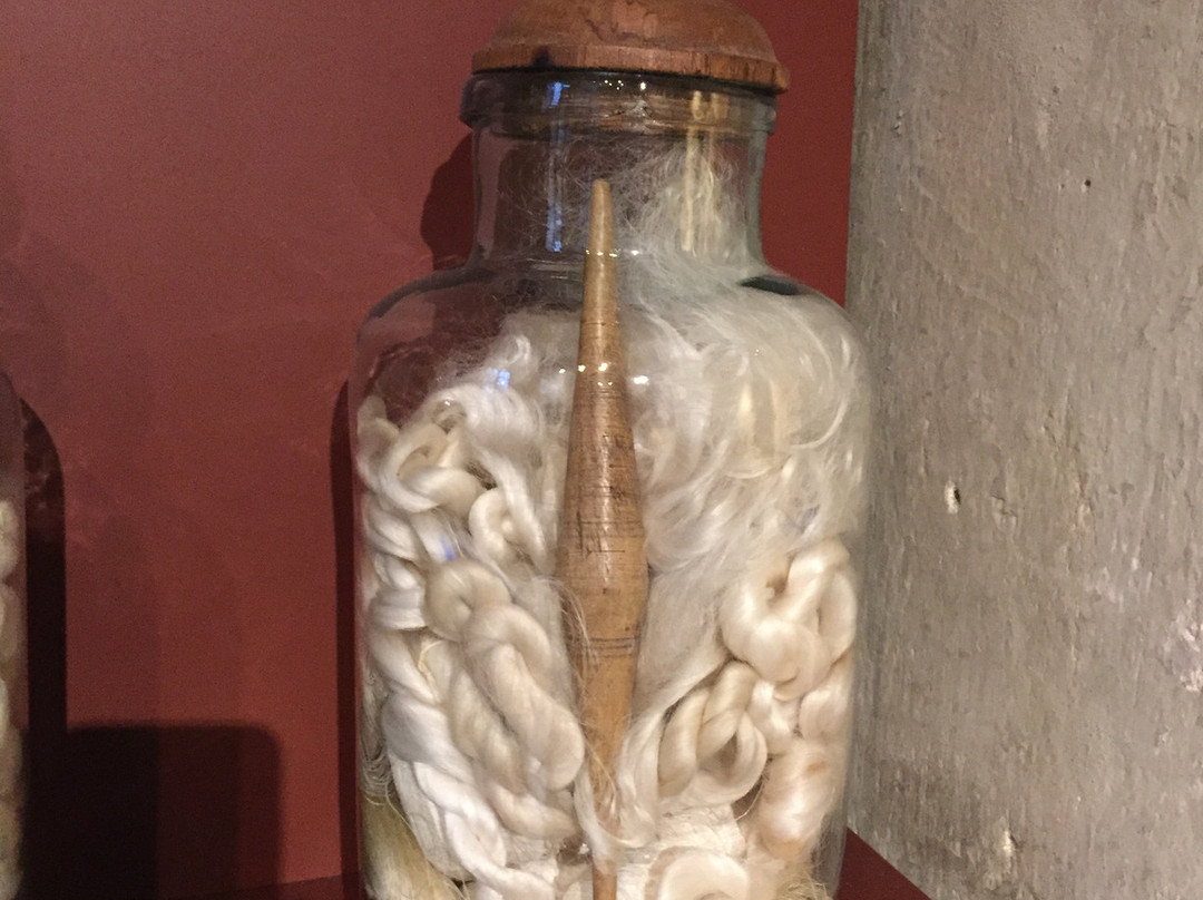 MUST Museo del Territorio Vimercatese-维梅尔卡泰必去景点