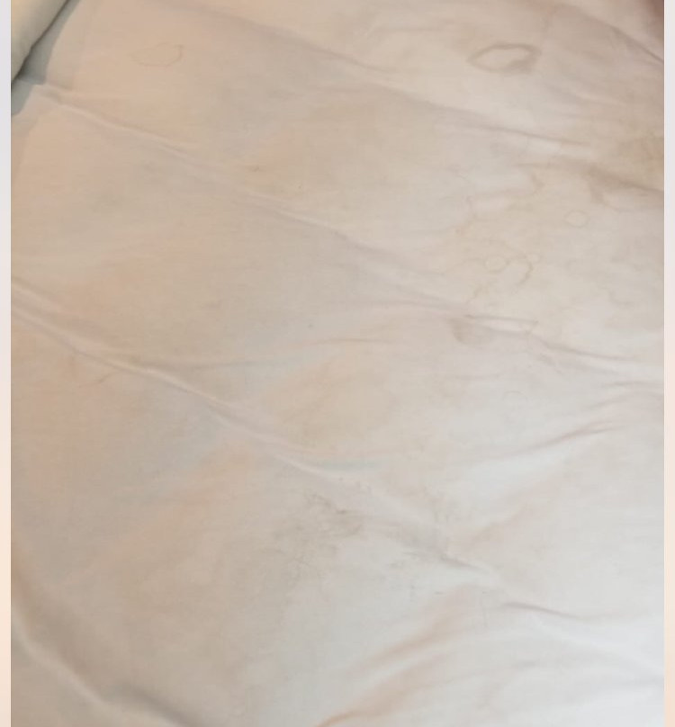 Days Inn by Wyndham Kenedy主图