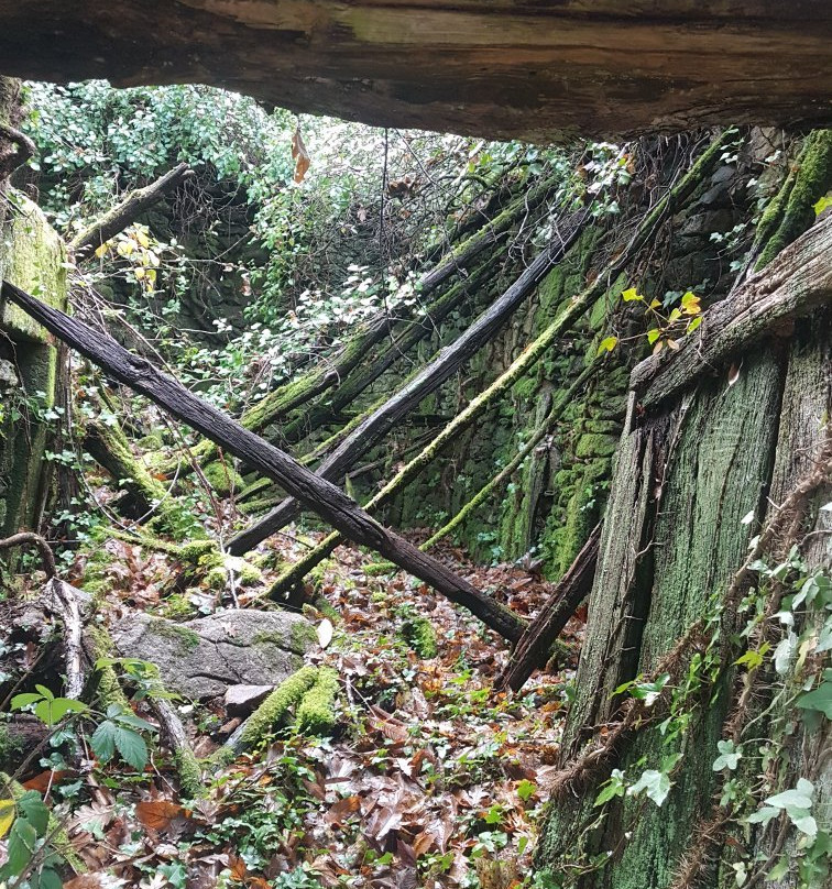 Ruta dos Sequeiros en Pena Folenche景点图片