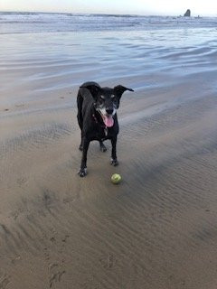 威赛德旅馆主图