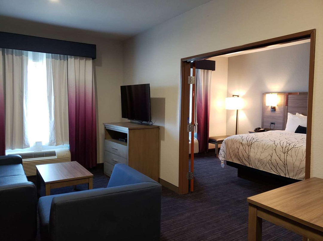 Best Western Plus San Antonio East Inn & Suites主图