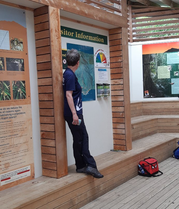 Kapiti Island Eco Experience-帕拉帕拉乌姆必去景点