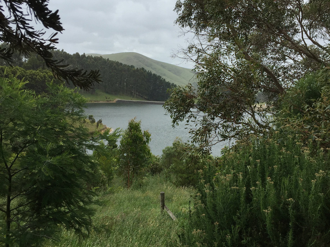Foster Reservoir-Foster必去景点