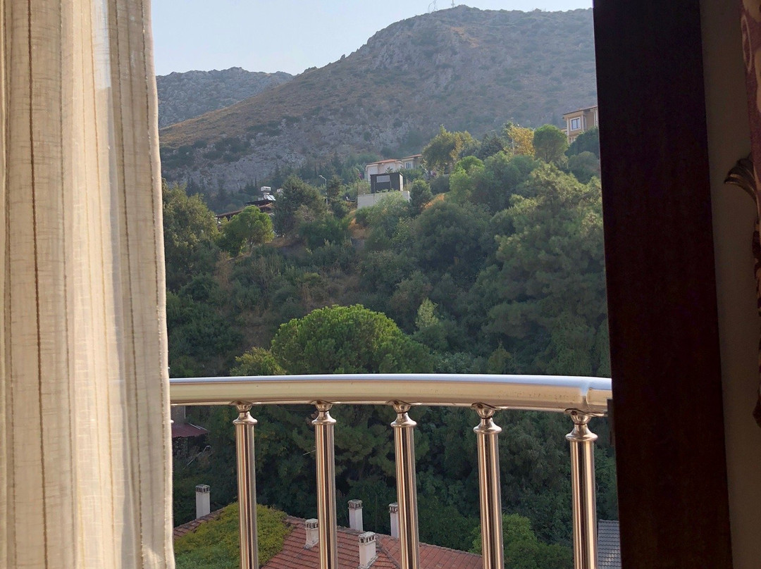 Saadet Grand Boutique & Business Hotel主图