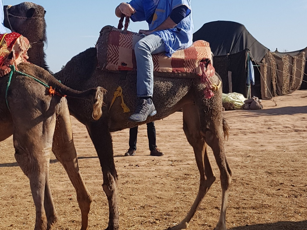 Atlas and Marrakech Day Tours-马拉喀什必去景点