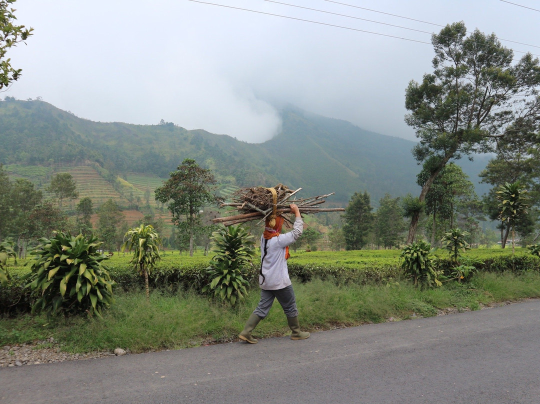Java Explorers Tour - Day Tours景点图片