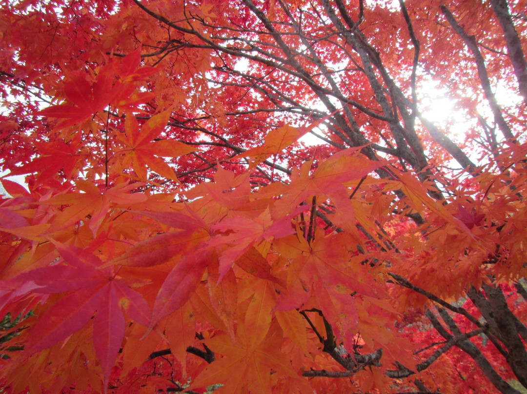 Kamisunagawa Dakenihon Teien-上砂川町必去景点