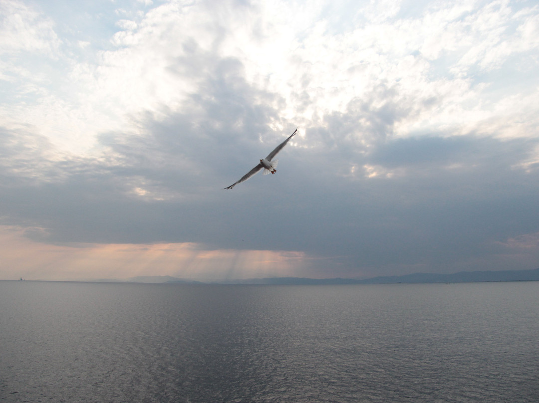 Thassos Port-Thassos Town (Limenas)必去景点