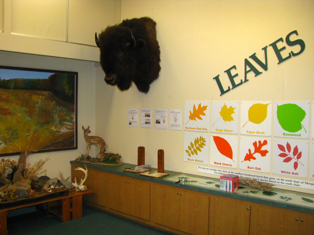 Mosquito Hill Nature Center-New London必去景点