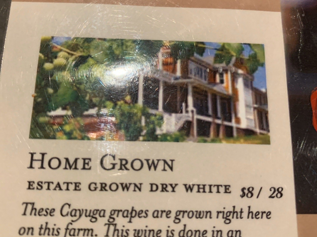 Brignole Vineyards-East Granby必去景点