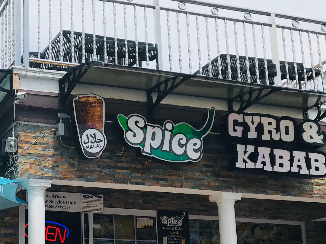 Spice Gyro & Kabob