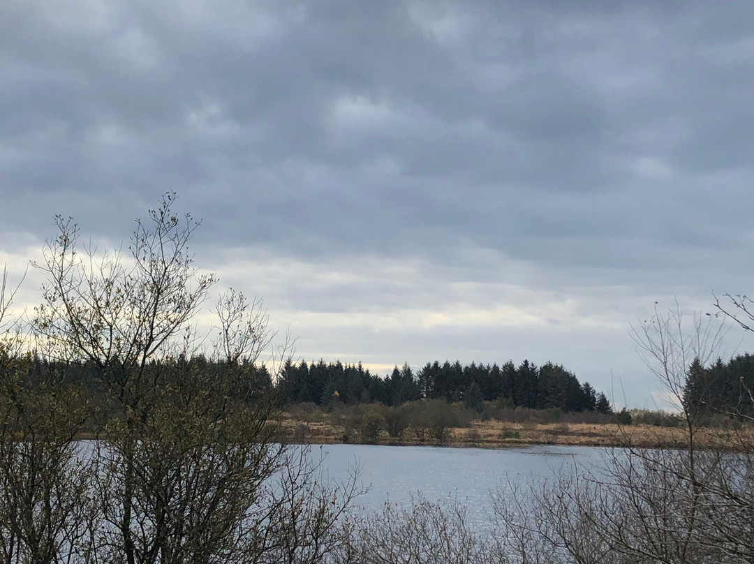 Llyn Llech Owain Country Park-Gorslas必去景点