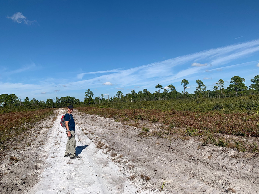 Cedar Key Scrub State Reserve景点图片