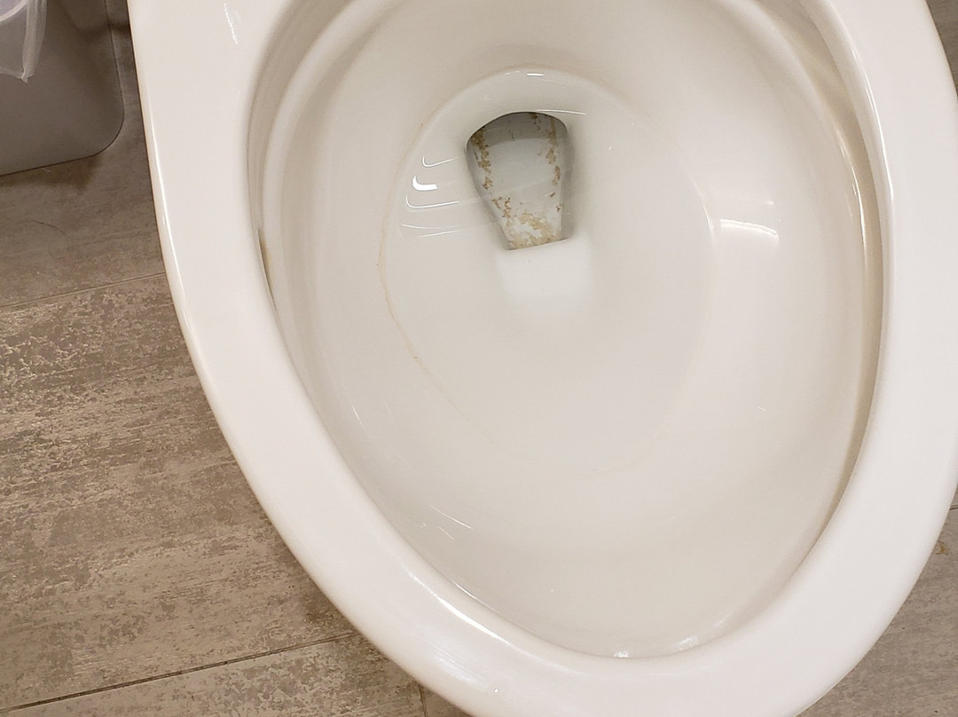 Element North Chelmsford主图