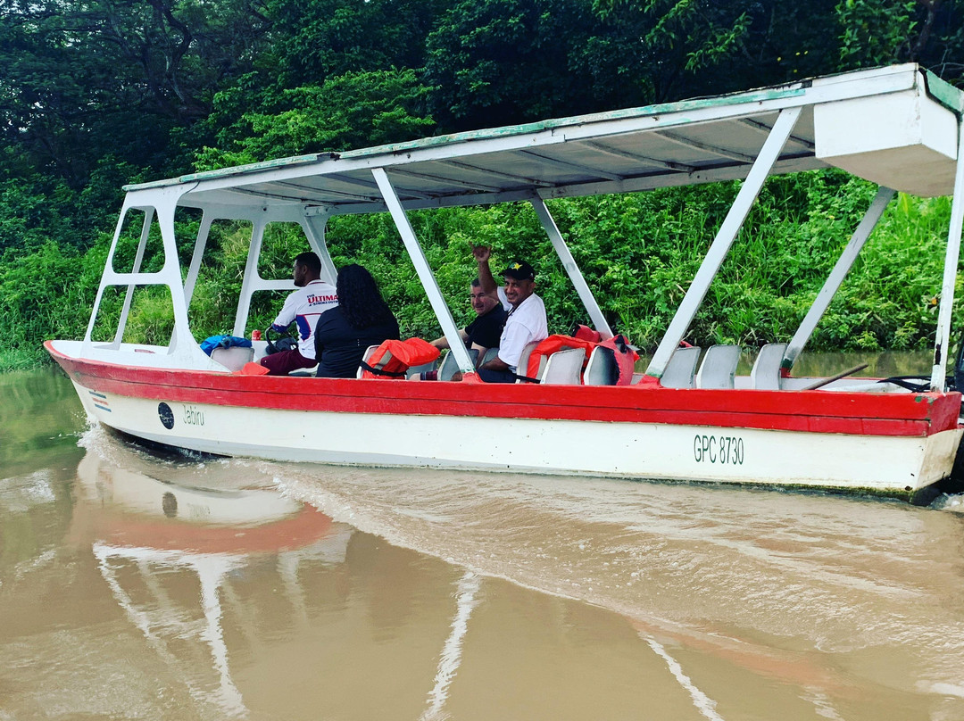 Jabiru Tours Palo Verde by Boat景点图片