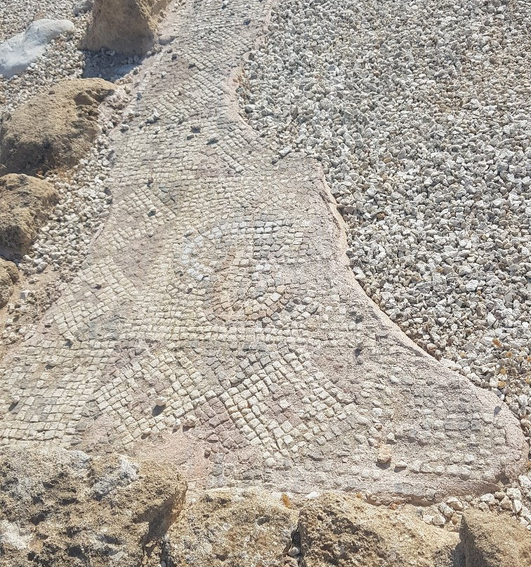 Agios Georgios Museum-帕福斯必去景点