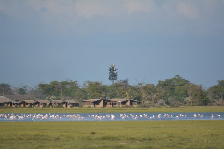 Amboseli National Park景点图片