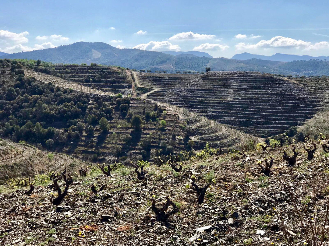 Clos Mogador景点图片