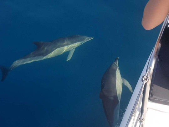 tosailboatexperience-巴努斯港必去景点