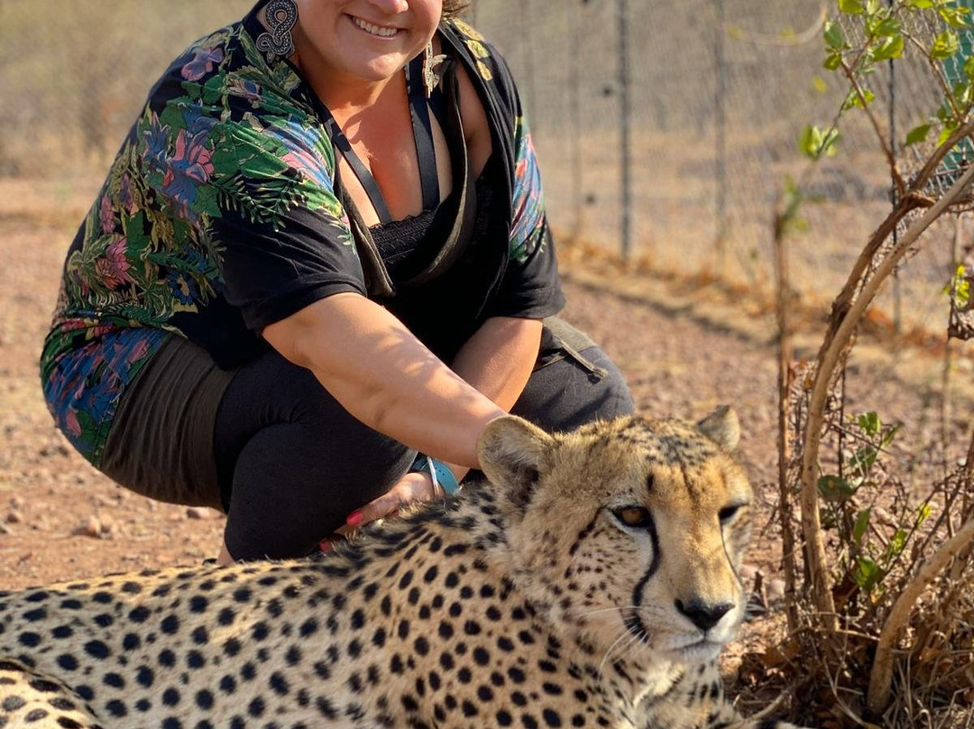 Lion and Cheetah Sanctuary-柯立南必去景点