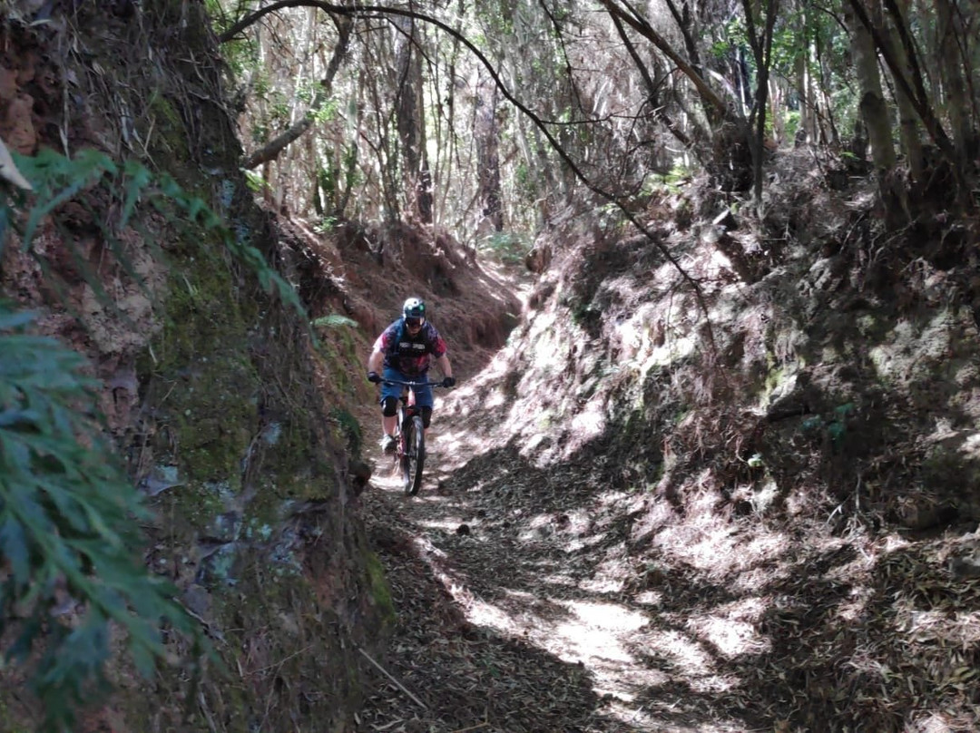 MountainRide La Palma景点图片