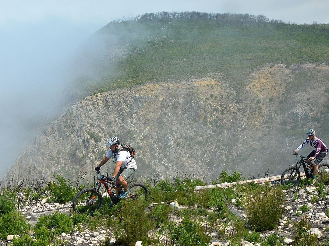 Vivid Bike Co-开普敦中心区必去景点