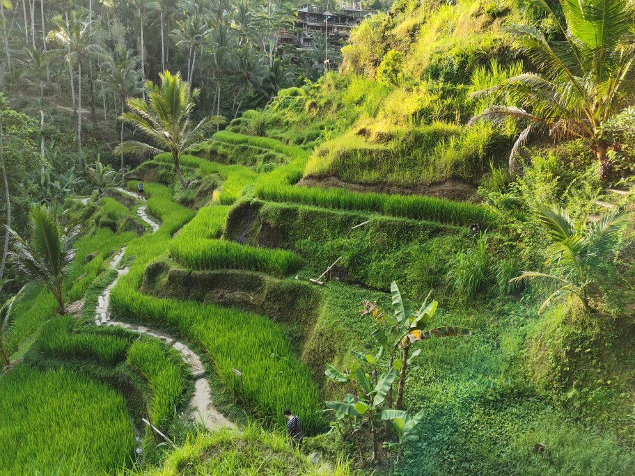 Bali Transport Community景点图片