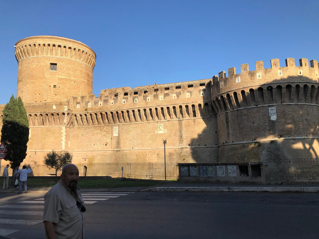 Castello di Giulio II景点图片